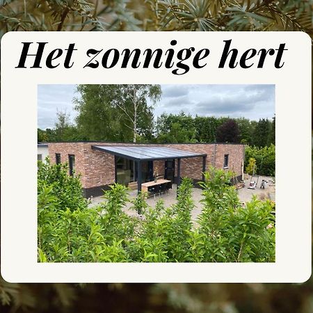 Het Zonnige Hert Ermelo Ngoại thất bức ảnh